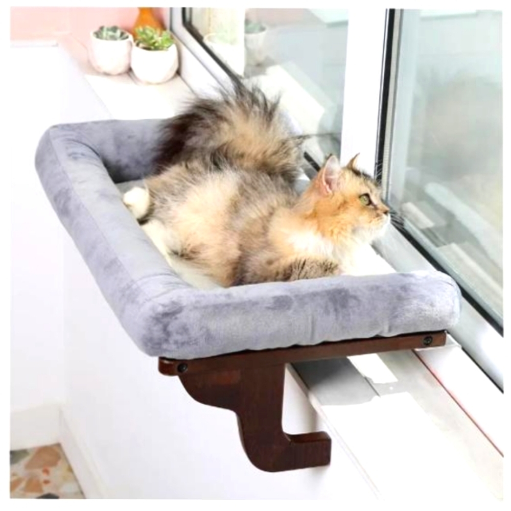 Cat window perch